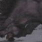 LSMLSSixq[XwF04N0809j