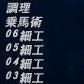 LSMLSSiBXLF04N0928j